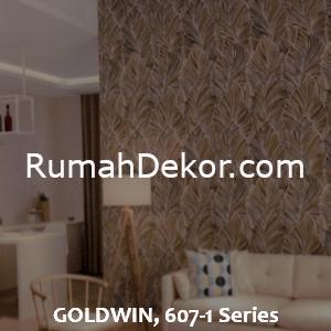 GOLDWIN, 607-1 Series
