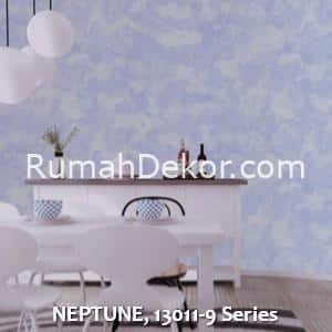 NEPTUNE, 13011-9 Series